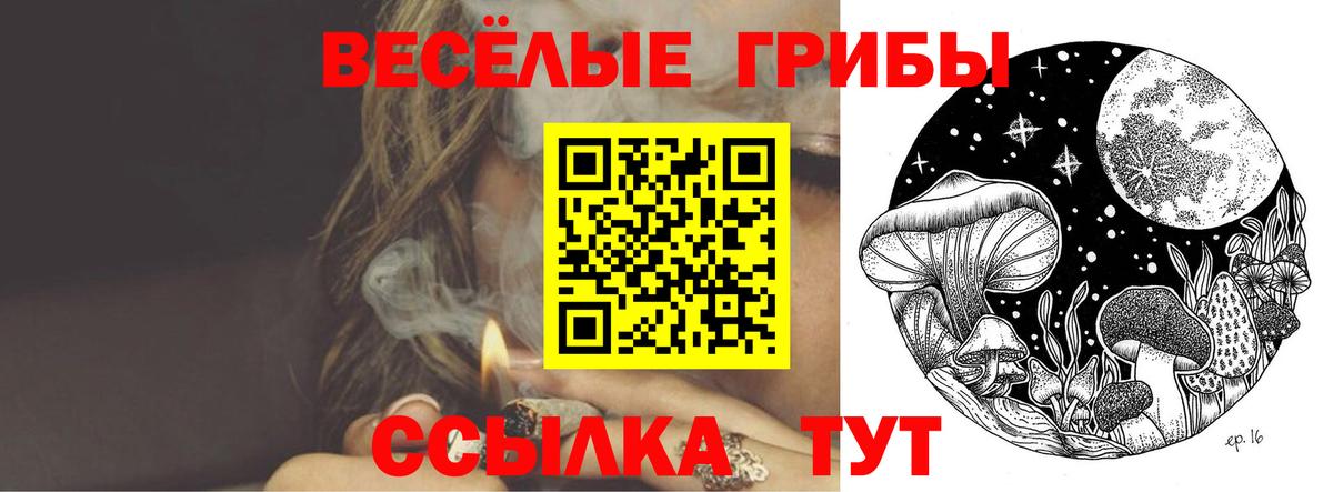 Псилоцибиновые грибы Psilocybine cubensis  Псилоцибиновые грибы GOLDEN TEACHER  Ижевск  Вход с VPN 